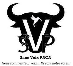 Sans Voix PACA