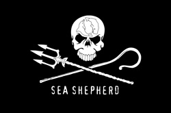 logo Sea Sheperd